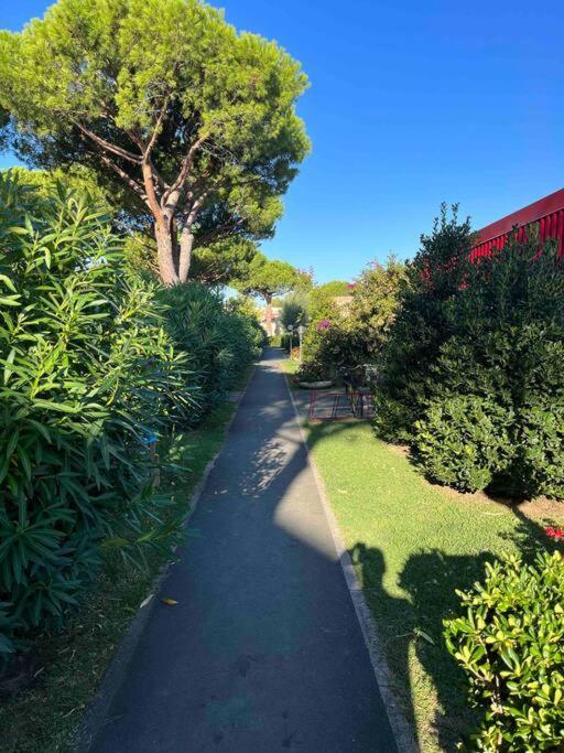 Casina Mare Bibbona Lejlighed Marina Di Bibbona Eksteriør billede